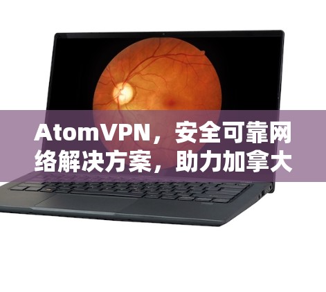 AtomVPN，安全可靠网络解决方案，助力加拿大节点高效通信