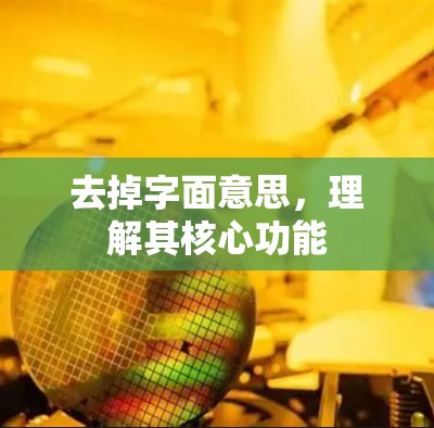 去掉字面意思，理解其核心功能