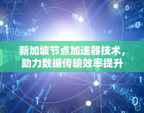 新加坡节点加速器技术，助力数据传输效率提升