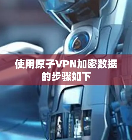 使用原子VPN加密数据的步骤如下