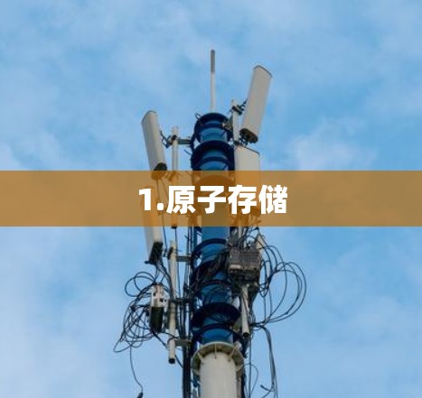1.原子存储