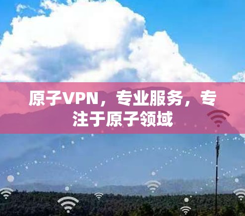 原子VPN，专业服务，专注于原子领域