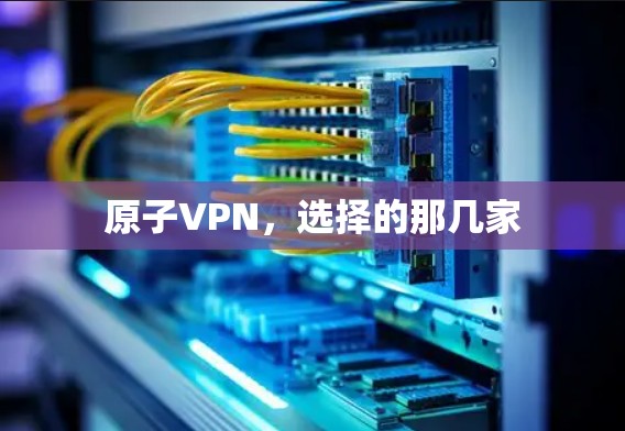 原子VPN，选择的那几家